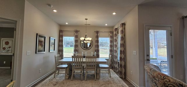 Arrington by Smith Douglas Homes in Adairsville - photo 17 17