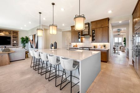 Avocet at Waterston Central by Tri Pointe Homes in Gilbert - photo 24 24