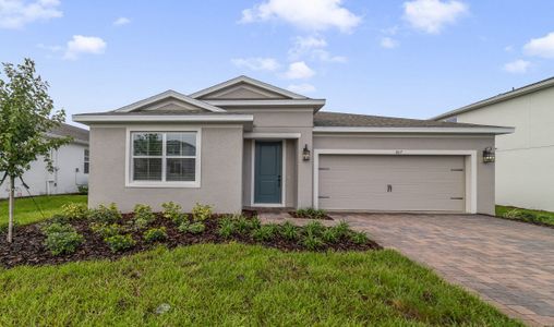 Ivy Trail by K. Hovnanian® Homes in Apopka - photo 33 33
