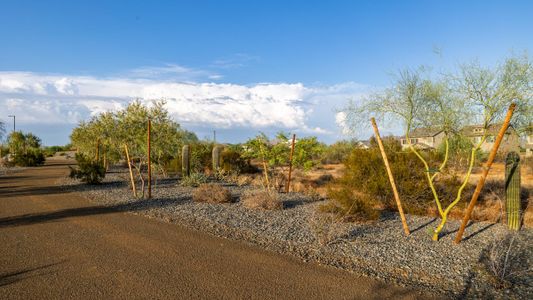 Talinn at Desert Ridge by D.R. Horton in Phoenix - photo 49 49