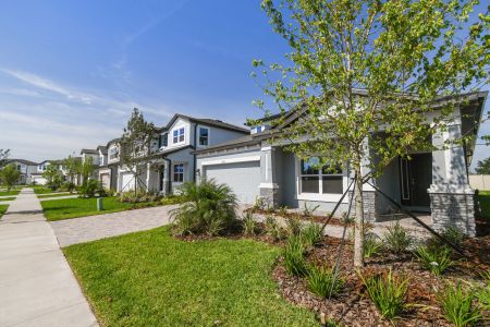 Whispering Oaks Preserve by M/I Homes in Wesley Chapel - photo 8 8