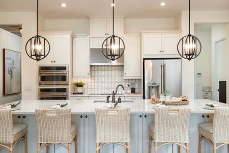Esplanade at Artisan Lakes by Taylor Morrison in Palmetto - photo 40 40