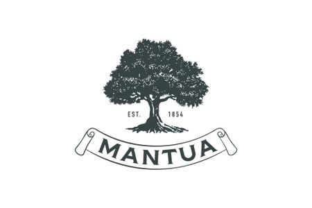 Mantua Point Classics by David Weekley Homes in Van Alstyne - photo 44 44