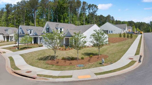 Cooks Farm by Southwyck Homes in Woodstock - photo 2 2