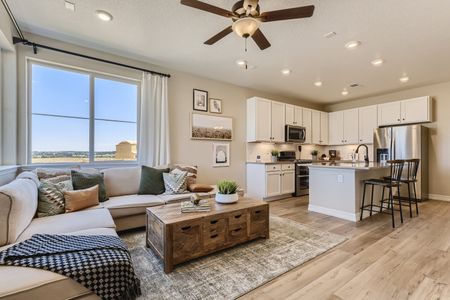 Paired Homes at Anthology North by Century Communities in Parker - photo 13 13