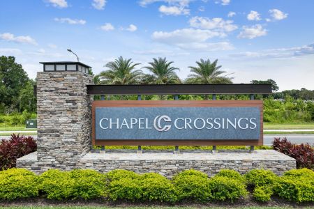Chapel Crossings by M/I Homes in Wesley Chapel - photo 20 20