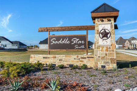 Saddle Star Estates by Coventry Homes in Rockwall - photo 1 1