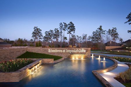 The Meadows at Imperial Oaks 50' by Coventry Homes in Conroe - photo