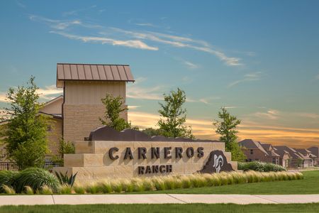 Carneros Ranch 60' Homesites by Coventry Homes in Leander - photo 1 1