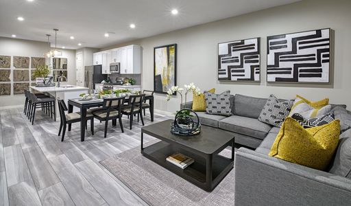 Urban Collection at Big Sky by Richmond American Homes in Kissimmee - photo 18 18