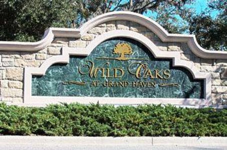 Wild Oaks by Bellagio Custom Homes in Palm Coast - photo 12 12