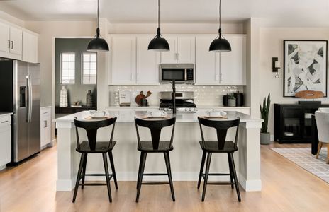 The Town Collection at Independence by Taylor Morrison in Elizabeth - photo 111 111