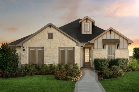 Foxbrook Signature Series by Coventry Homes in Cibolo - photo 7 7