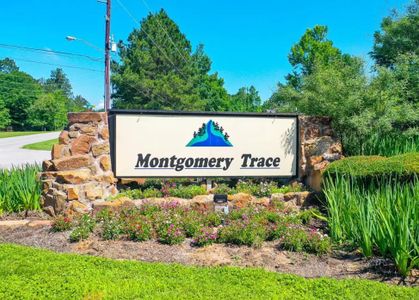 Montgomery Trace by Gracepoint Homes in Montgomery - photo