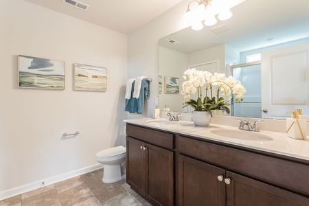 Petterson Meadows by Mungo Homes in Summerville - photo 55 55