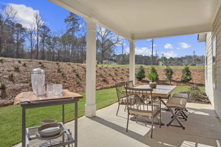 Arrington by Smith Douglas Homes in Adairsville - photo 70 70