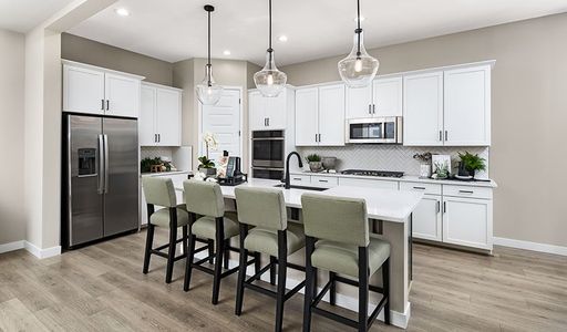 Madera West Estates by Richmond American Homes in Queen Creek - photo 51 51