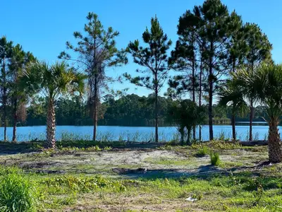 Bent Pine Preserve by GHO Homes in Vero Beach - photo 8 8