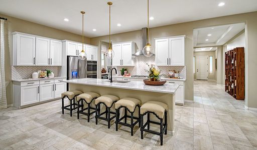 The Preserve at Asante by Richmond American Homes in Surprise - photo 20 20