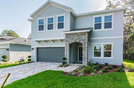 Waterset by Cardel Homes in Apollo Beach - photo 48