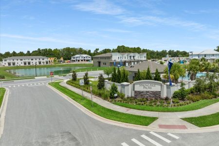 Spring Isle Palms by Mattamy Homes in Orlando - photo