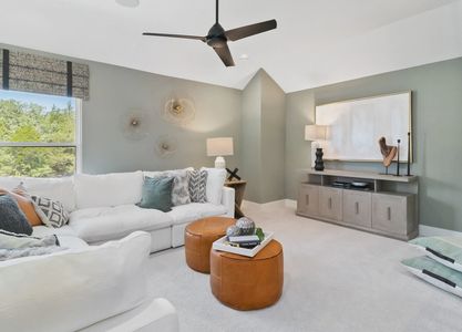 The Colony by Sitterle Homes in Bastrop - photo 31 31