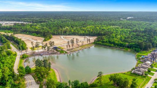 Hills of Westlake by D.R. Horton in Conroe - photo 84 84