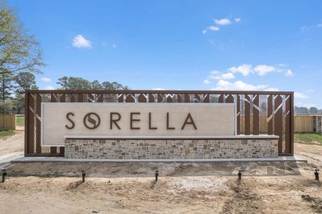 Sorella by M/I Homes in Tomball - photo 7 7