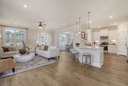 Cordgrass Landing by Mungo Homes in Johns Island - photo 35 35