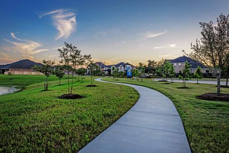Lakes at Creekside 50′ by Tri Pointe Homes in Tomball - photo 9 9