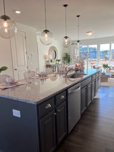 Homecoming by True Homes in Ravenel - photo 47 47