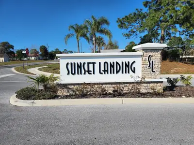 Sunset Landing by Adams Homes in Spring Hill - photo 25 25