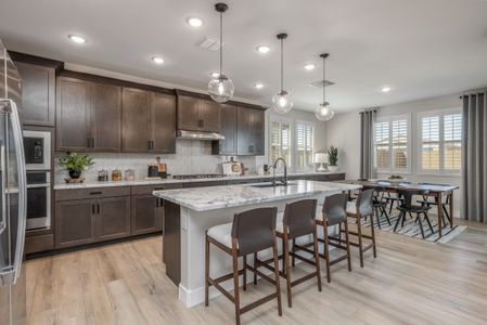 The Grove at El Cidro by William Ryan Homes in Goodyear - photo 68 68
