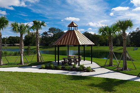 Harmony at Lake Eloise by Casa Fresca Homes in Winter Haven - photo 51 51