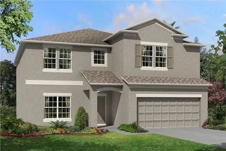 Hawthorne Ranch by M/I Homes in Lakeland - photo 13 13