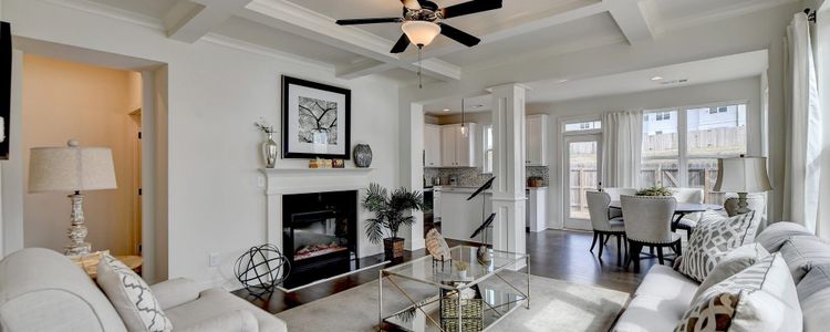 Old Salem Crossing by Rocklyn Homes in Conyers - photo 4 4