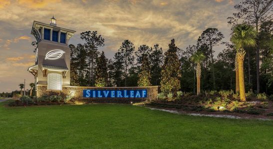 Silver Landing at SilverLeaf by Dream Finders Homes in Saint Augustine - photo 4 4