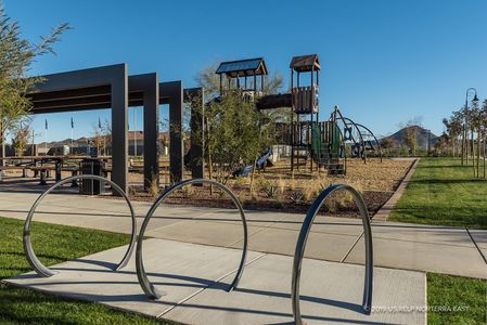 Union Park at Norterra by David Weekley Homes in Phoenix - photo 10