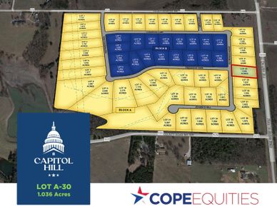Capitol Hill by Cope Homes in Van Alstyne - photo 87