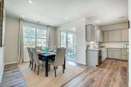 The Grove at Chestnut Park by Mattamy Homes in Indian Trail - photo 6 6