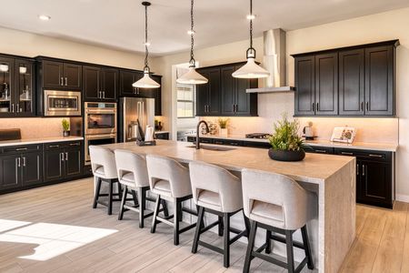 Canastero at Waterston Central by Tri Pointe Homes in Gilbert - photo 24 24