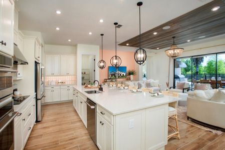 Esplanade at Wiregrass Ranch by Taylor Morrison in Wesley Chapel - photo 30 30