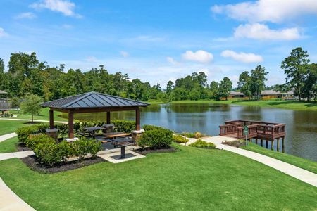 Lakes at Black Oak by Davidson Homes LLC in Magnolia - photo 5 5