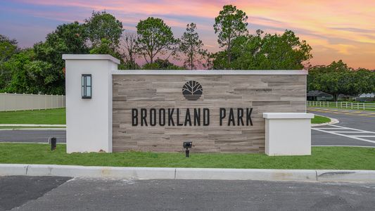 Brookland Park by Taylor Morrison in Auburndale - photo 8 8