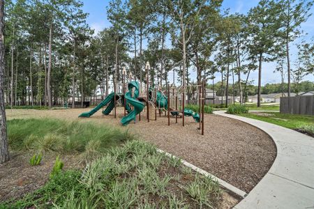 Maple Heights by Century Communities in Porter Heights - photo 66 66