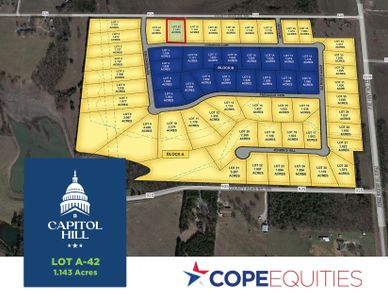 Capitol Hill by Cope Homes in Van Alstyne - photo 113
