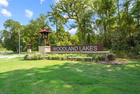 Woodland Lakes by Cyrene Homes in Huffman - photo 2 2