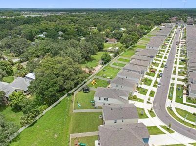 Bell Creek Landing by Casa Fresca Homes in Riverview - photo