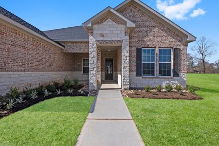 Emerald Lakes by Gracepoint Homes in Willis - photo 5 5