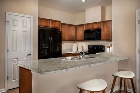 Orchard Park Townhomes by KB Home in Saint Augustine - photo 7 7